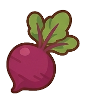 Beet