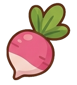 Radish